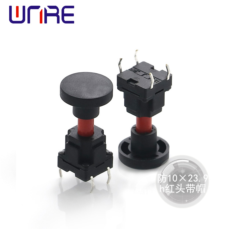 ��10��23.9h�t�^��ñ