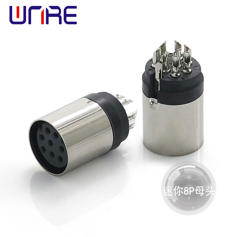 ����8Pĸ�^